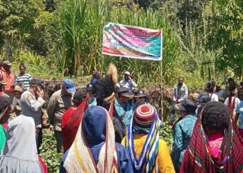 Polsek Asologaima Hadir dan Amankan Panen Raya Ubi Jalar di Wamena