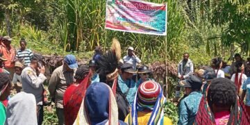 Polsek Asologaima Hadir dan Amankan Panen Raya Ubi Jalar di Wamena