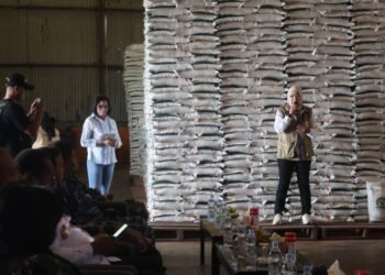 Jaga Stabilitas Pangan Jelang Idulfitri, Bulog Merauke Salurkan Bantuan untuk Masyarakat