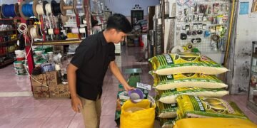 Harga Bahan Pokok di Oksibil Naik akibat Biaya Angkut Udara