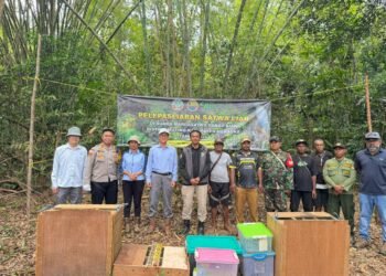Polsek Muting Bersinergi dengan KSDA Lepasliarkan Satwa Dilindungi di Rawa Bian