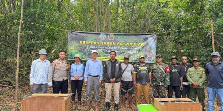 Polsek Muting Bersinergi dengan KSDA Lepasliarkan Satwa Dilindungi di Rawa Bian