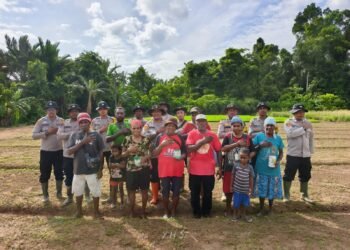 Polsek Bonggo Dorong Ketahanan Pangan, Bersama Petani Tanam Kacang Tanah di Kampung Rotea