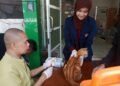 Vaksin Rabies Gratis! Warga Apresiasi Gerakan Bangsawan