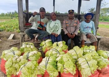 Polsek Muara Tami Sambangi Kelompok Tani Koya Barat, Perkuat Ketahanan Pangan Masyarakat