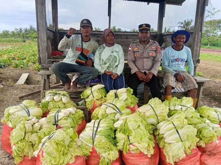 Polsek Muara Tami Sambangi Kelompok Tani Koya Barat, Perkuat Ketahanan Pangan Masyarakat