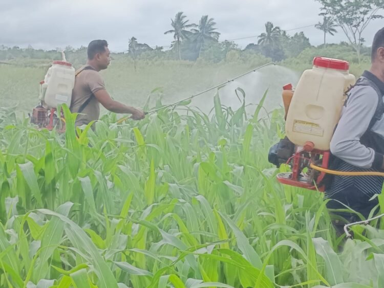 Polres Boven Digoel Gelar Ruang Edukasi Bagi Anak Putus Sekolah, Tingkatkan Literasi Dan Pola Hidup Sehat