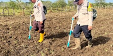 Polsek Jagebob Salurkan Bantuan Pupuk dan Dampingi Pemupukan Jagung di Kampung Mimi Baru 