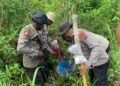 Polres Mappi Bongkar Produksi Miras Ilegal Saat Patroli KRYD di Sobaa dan Dagimon 