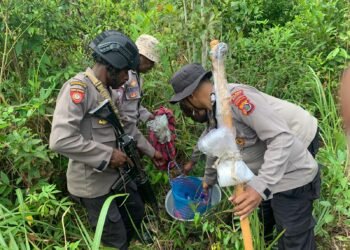 Polres Mappi Bongkar Produksi Miras Ilegal Saat Patroli KRYD di Sobaa dan Dagimon 
