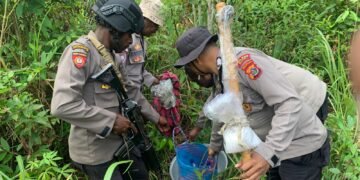 Polres Mappi Bongkar Produksi Miras Ilegal Saat Patroli KRYD di Sobaa dan Dagimon 
