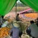 Dukung Swasembada Pangan, Polsek Muting Bersama Warga Panen Jagung Di Distrik Ulilin 