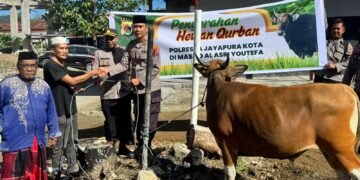 Polresta Jayapura Kota Salurkan Hewan Kurban di Empat Lokasi, Wujud Kepedulian dan Penguatan Kebersamaan dengan Masyarakat