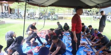 Peringati Idul Adha 1447 Hijriah, Polres Keerom Tebar Kepedulian Melalui Penyembelihan Hewan Kurban