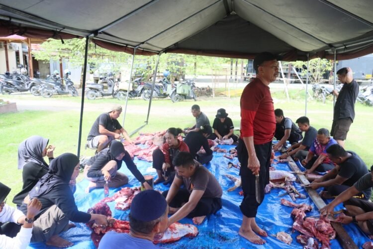 Peringati Idul Adha 1447 Hijriah, Polres Keerom Tebar Kepedulian Melalui Penyembelihan Hewan Kurban