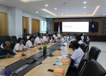 Perkuat Sinergi Lintas Sektor, Koordinasi Layanan Pengasuhan Alternatif Digelar di Provinsi Papua