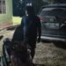 Motor Hilang Dua Tahun Akhirnya Ditemukan, Pemilik Apresiasi Kinerja Resmob Jatanras Polda Papua 