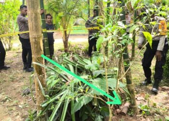 Yanni Dorong PPIR Siapkan Generasi Pemimpin Papua Menuju 2029