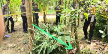 Yanni Dorong PPIR Siapkan Generasi Pemimpin Papua Menuju 2029