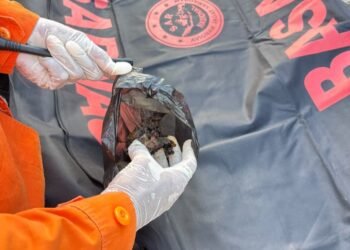 Hari Ke-8 Pasca Ledakan Biak, Tim Gabungan Temukan 11 Serpihan Tubuh dan Lanjutkan Pencarian Korban 