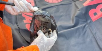 Hari Ke-8 Pasca Ledakan Biak, Tim Gabungan Temukan 11 Serpihan Tubuh dan Lanjutkan Pencarian Korban 