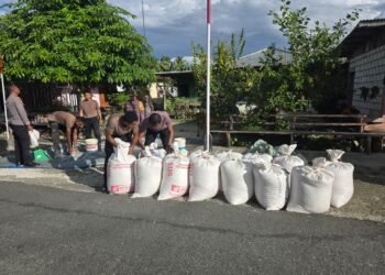Polres Jayapura Lanjutkan Pengolahan Hasil Panen Jagung, Perkuat Program Ketahanan Pangan Nasional