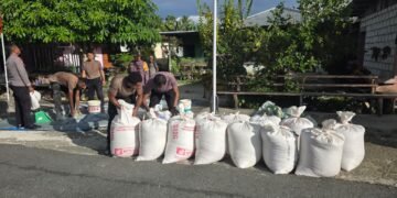 Polres Jayapura Lanjutkan Pengolahan Hasil Panen Jagung, Perkuat Program Ketahanan Pangan Nasional