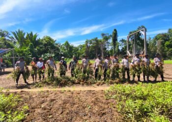 Panen Kedua Kacang Tanah, Polsek Bonggo Perkuat Ketahanan Pangan Bersama Kelompok Tani Papua Nusantara