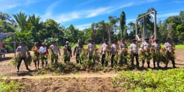 Panen Kedua Kacang Tanah, Polsek Bonggo Perkuat Ketahanan Pangan Bersama Kelompok Tani Papua Nusantara