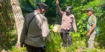 Polsek Okaba Gencarkan Razia Miras Lokal, Puluhan Liter Sagero Dimusnahkan di Kampung Dufmira