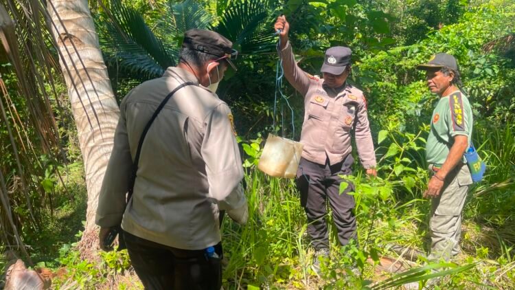 Polsek Okaba Gencarkan Razia Miras Lokal, Puluhan Liter Sagero Dimusnahkan di Kampung Dufmira