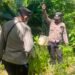 Polsek Okaba Gencarkan Razia Miras Lokal, Puluhan Liter Sagero Dimusnahkan di Kampung Dufmira