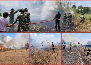 Respons Cepat, Polsek Kurik dan TNI Padamkan Karhutla di Wonorejo