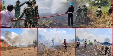 Respons Cepat, Polsek Kurik dan TNI Padamkan Karhutla di Wonorejo