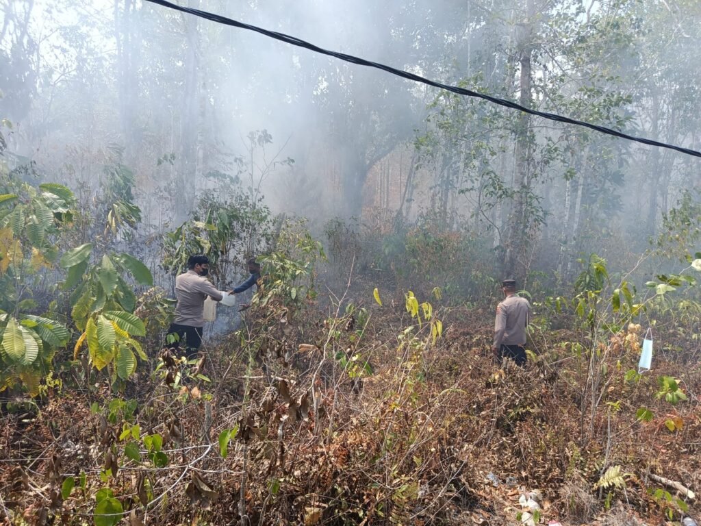 IMG-20260908-WA0008