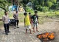 Sat Narkoba Polresta Musnahkan 1,18 Kilogram Ganja Hasil Pengungkapan Dua Kasus Narkotika