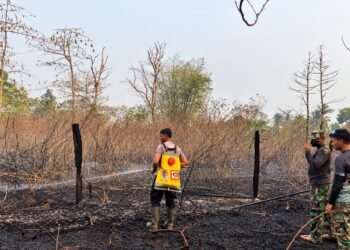 Sinergi Polri, TNI dan Warga, Kebakaran Lahan di Kampung Harapan Makmur Berhasil Dipadamkan
