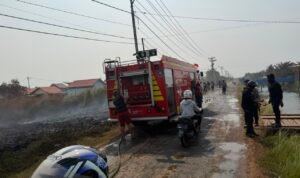 IMG-20260913-WA0055