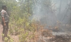 IMG-20260930-WA0017