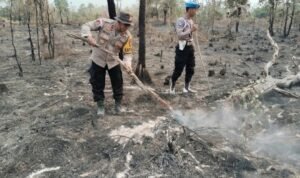 IMG-20261027-WA0124